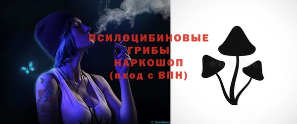 гашик Липки