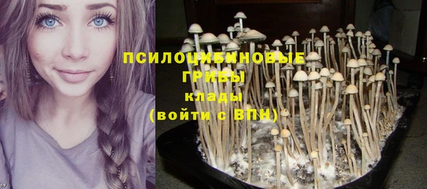бошки Болохово